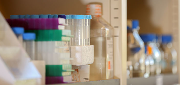 A close-up image of laboratory equipment depicts test tubes, boxes and bottles on the shelf in a Penn State College of Medicine laboratory in summer 2016. Test tubes and one bottle are visible at left in focus, with other bottles out-of-focus to the right.