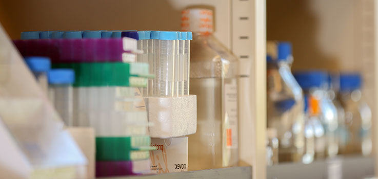 A shelf is seen in a laboratory at Penn State College of Medicine. Test tubes are visible in the foreground.
