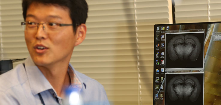 Dr. Yongsoo Kim, an associate professor in the Department of Neural & Behavioral Sciences at Penn State College of Medicine, is pictured in his lab in July 2016, framed by laboratory equipment and looking away from a screen depicting two images of a section of the brain.