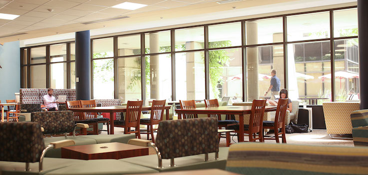 The interior of the Harrell Health Sciences Library is shown, with students empty tables in front of students seated in armchairs in front of sunlit windows.