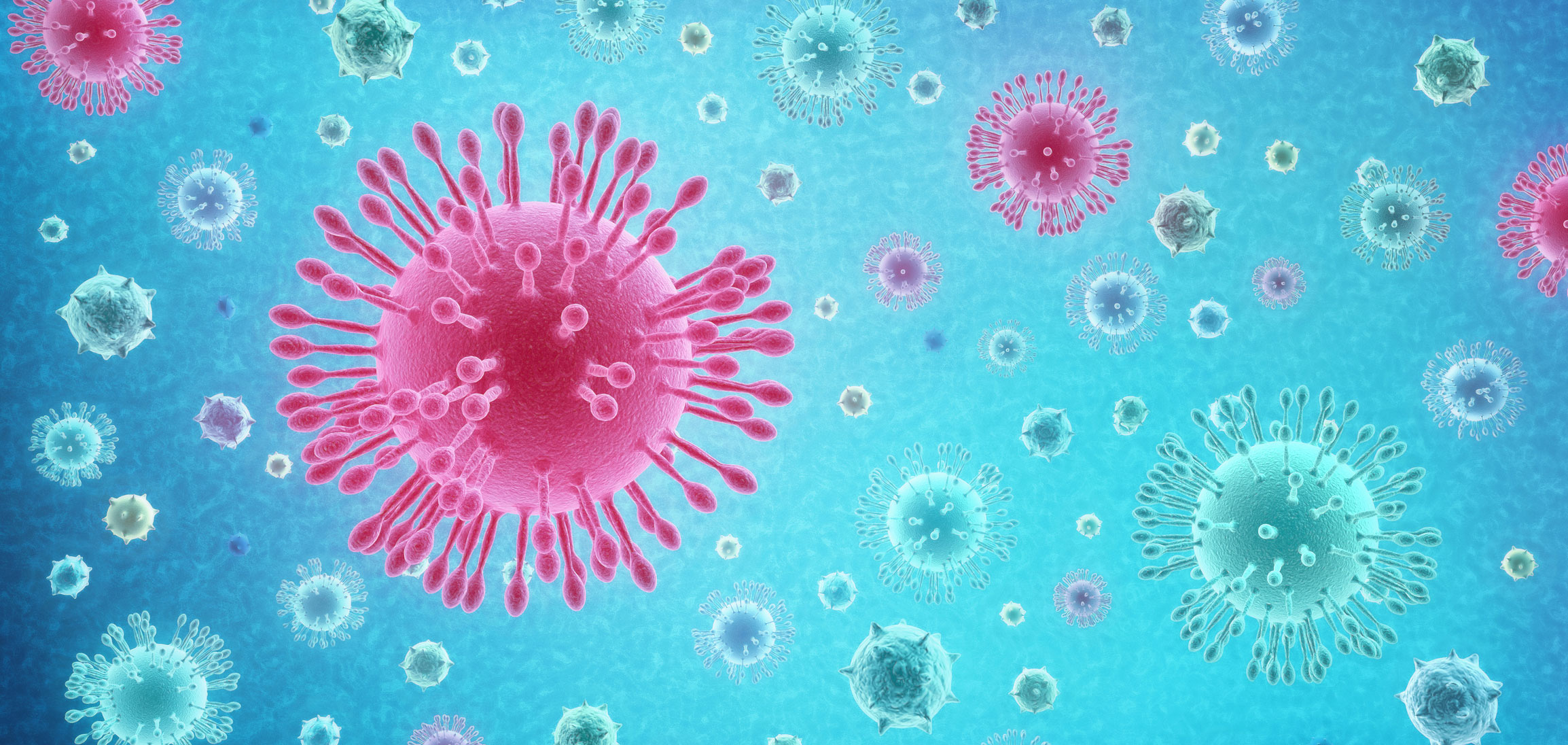 A conceptual illustration of the coronavirus as if it were observed from a microscope is seen.